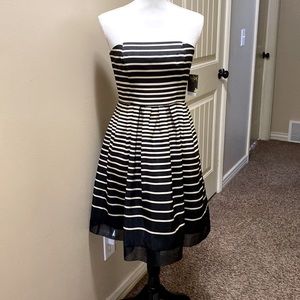 NEW!! Tube Dress 2